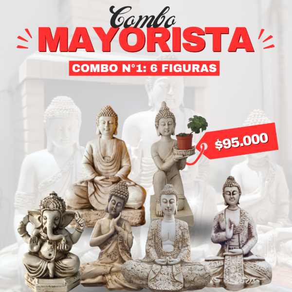 Producto - Combo Mayorista 1