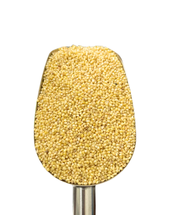 Producto - SEMILLAS DE MIJO