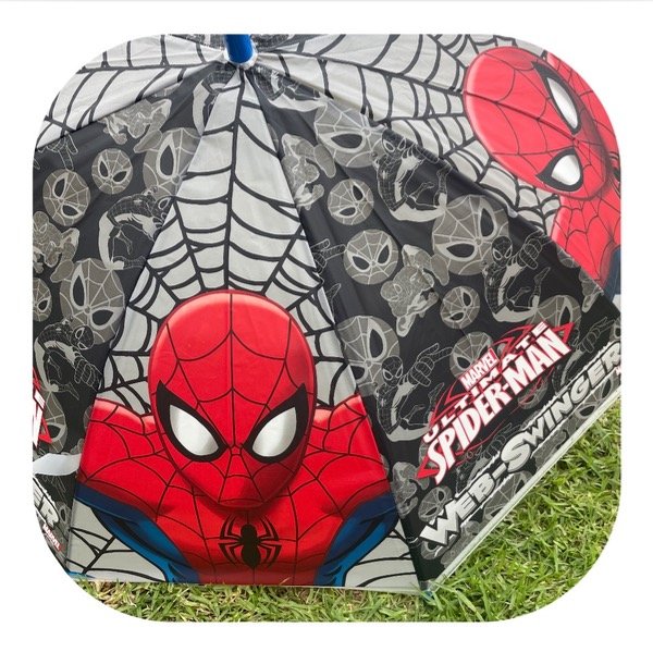 Producto - Paragua Spiderman 2 - 1