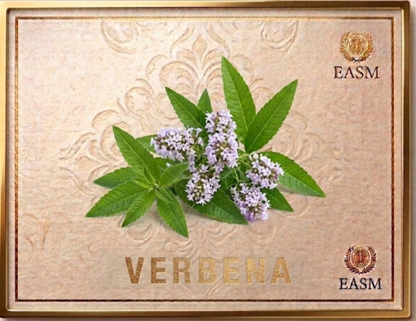 Producto - ES-0010  VERBENA