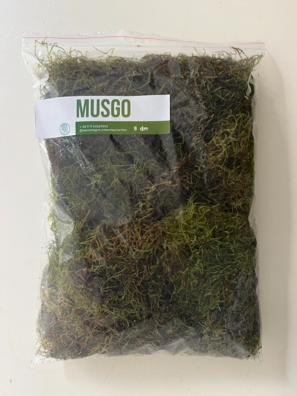 Producto - Musgo Natural