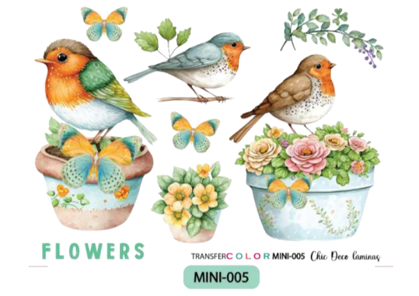 Producto - TRANSFER COLOR MINI 005