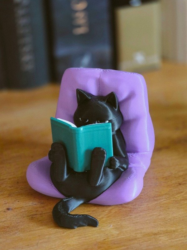 Producto - GATITO LECTOR EVIL PLANS - 1
