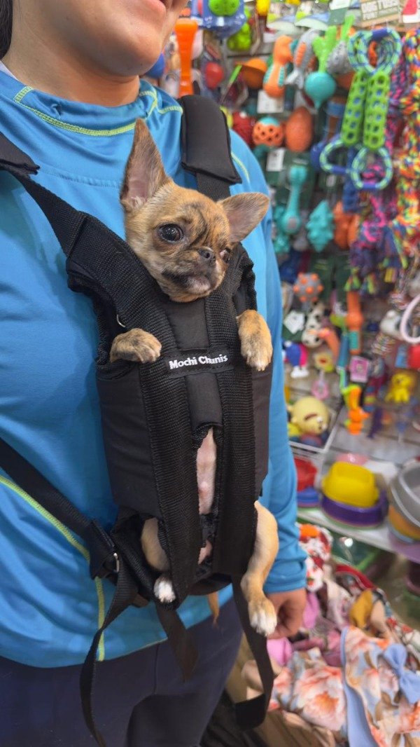 Producto - Mochila