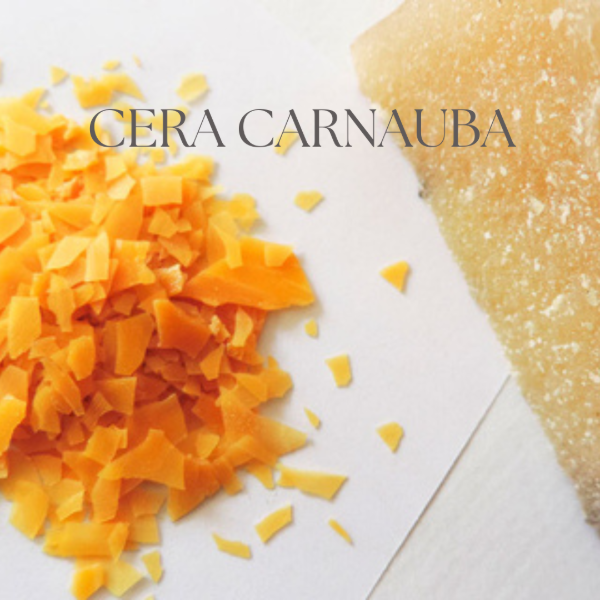 Producto - Cera Carnauba x30gs