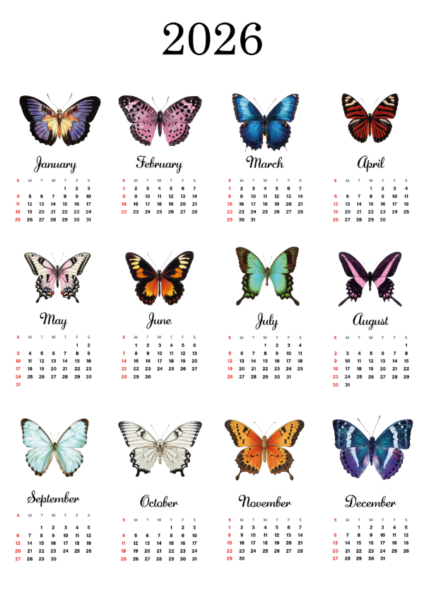 Producto - CALENDARIO MARIPOSAS