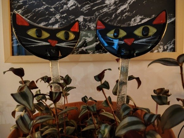 Producto - Tutor Gatitos - 5