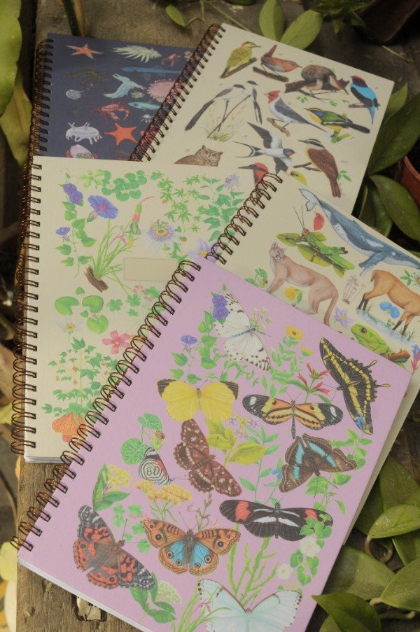 Producto - Cuadernos anillados A4 - outlet