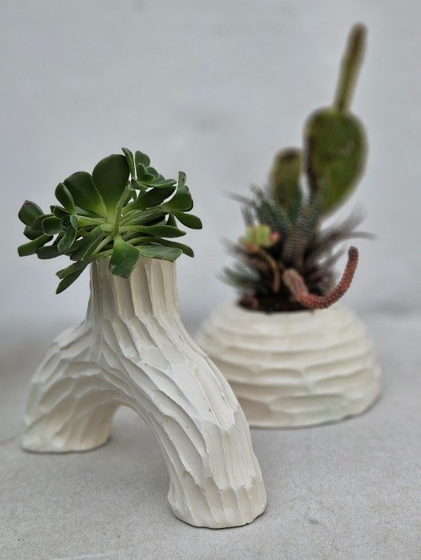 Producto - Maceta semidona blanca calada con planta