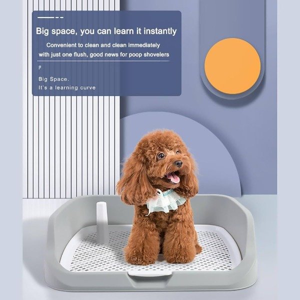 Producto - BANDEJA SANITARIA PARA PERROS 48X35CM
