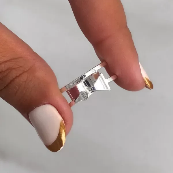 Producto - ANILLO FLITZE T17