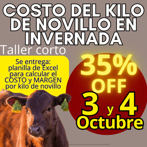 Producto - Taller corto: cálculo del costo del kilo de novillo - 0