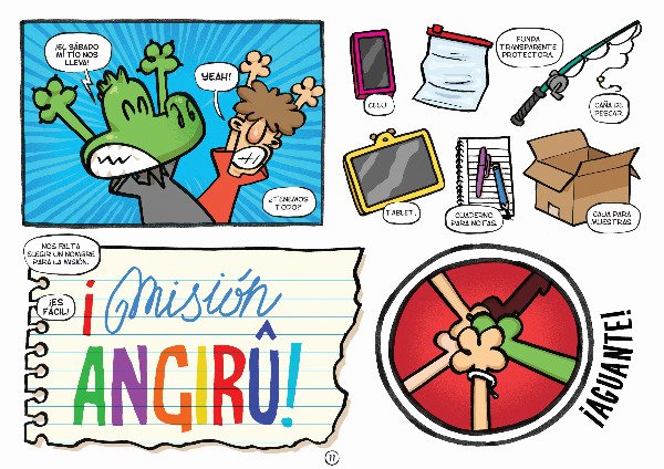 Producto - Angiru 5 - 3