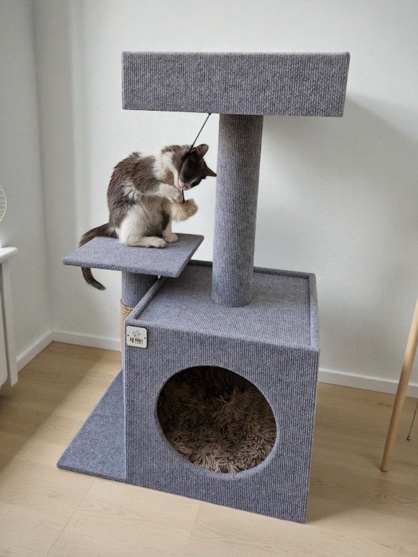 Producto - Rascador Sandro PROMO STOCK