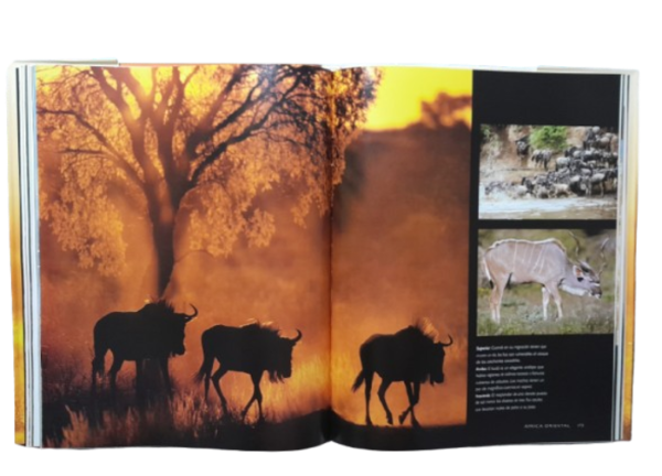 Miniatura de producto - 8