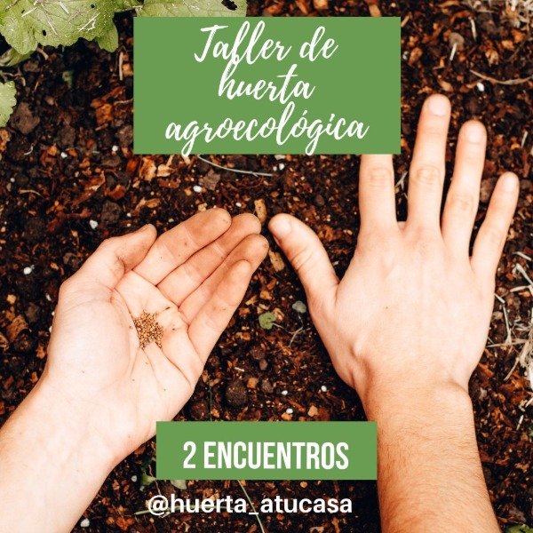 Producto - Taller de huerta online 2 encuentros