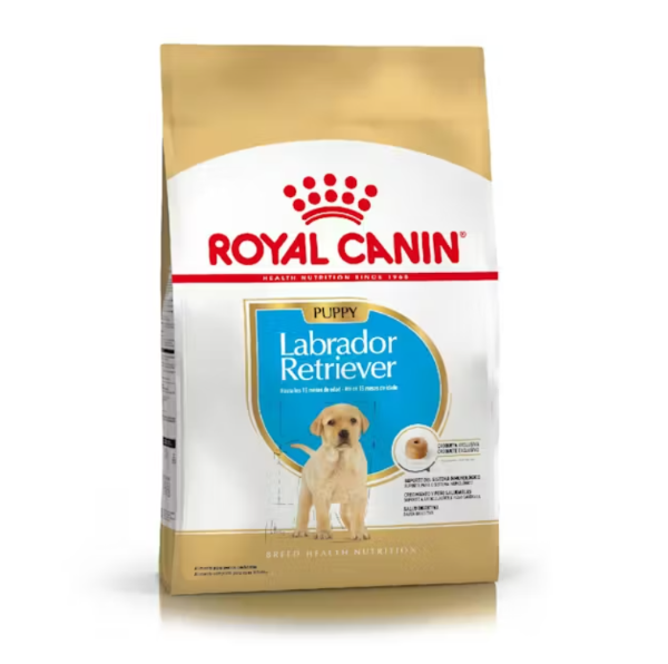 Producto - Labrador Retriever cachorro