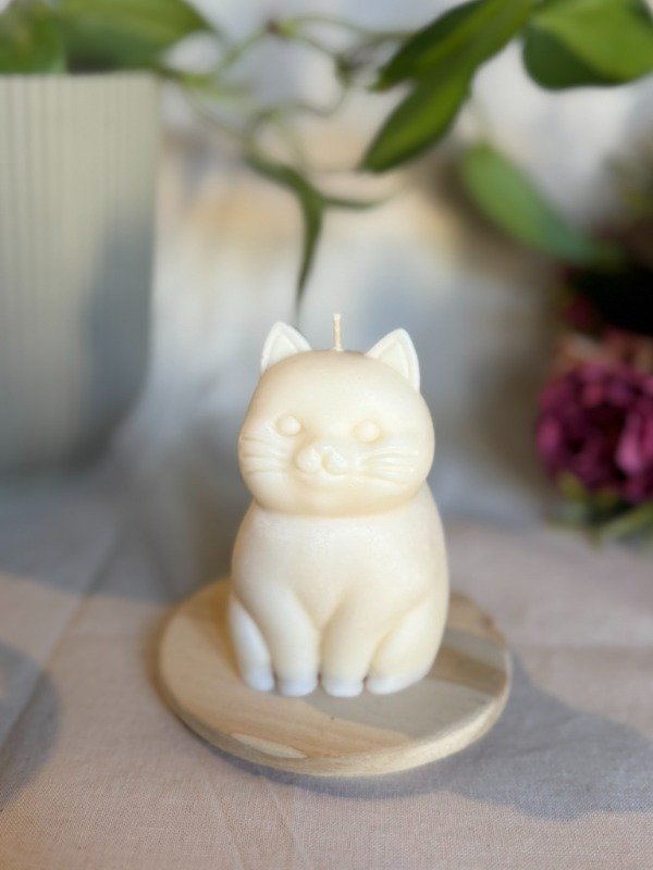 Producto - Gato Suerte