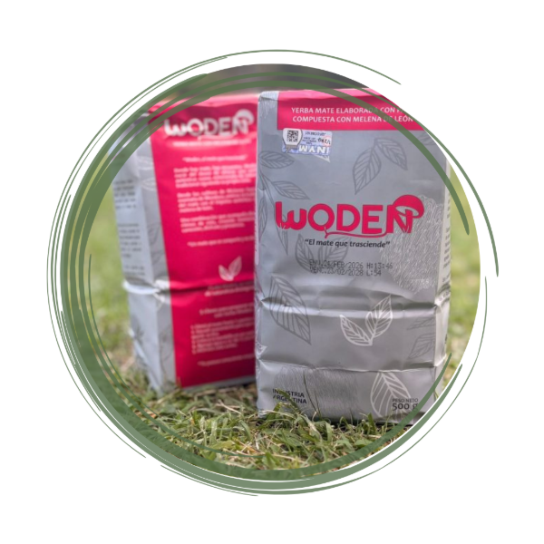 Producto - Yerba Mate + Melena de León x 500gr