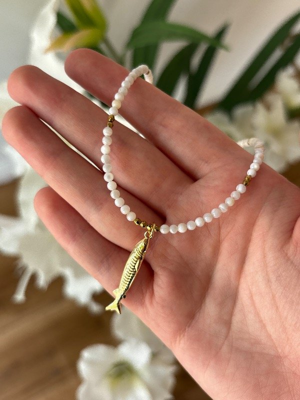 Producto - Conjunto Sardina