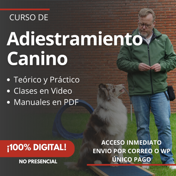 Producto - Curso Adiestramiento Canino