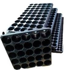 Producto - Bandeja de Siembra - Carluccio