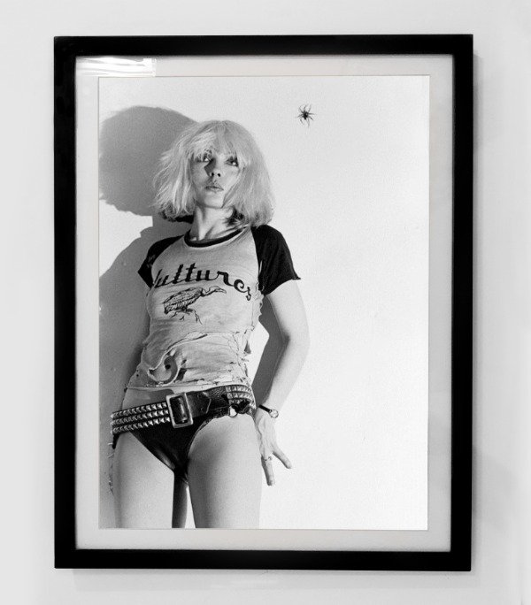 Producto - BLONDIE (Nro 23)