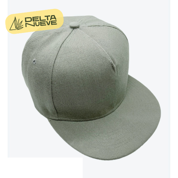 Producto - SNAPBACK - GRIS TOPO CLARO - LISA