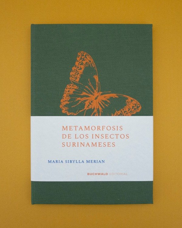Producto - Maria Sibylla Merian, Metamorfosis de los insectos surinameses