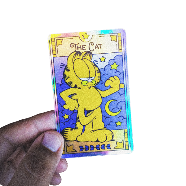 Producto - GARFIELD TORNA