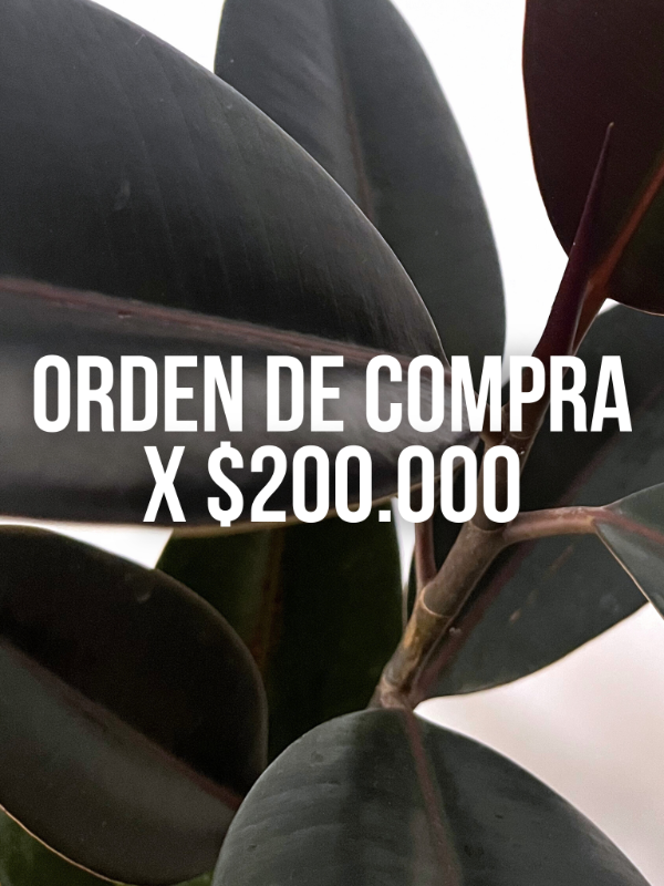 Producto - ORDEN DE COMPRA X 200.000