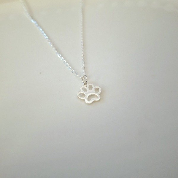 Producto - COLLAR PAW