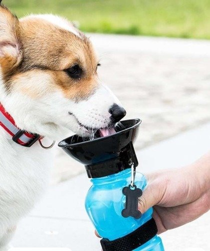 Producto - Botella Bebedero Portatil para Mascotas Recipiente de Agua Perro y Gato