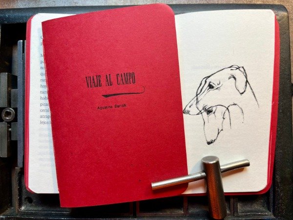 Miniatura de producto - 5