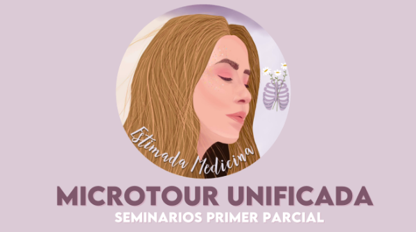 Producto - RESUMEN DIGITAL SEMINARIOS 1P MICRO UNIFICADA