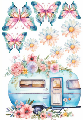 Producto - Transferscolor 20