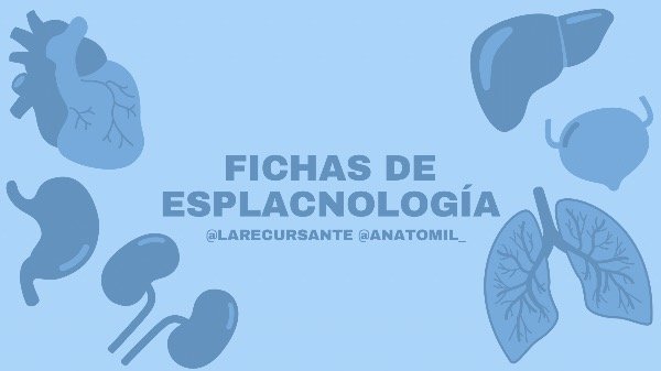 Producto - fichas esplacno - pdf