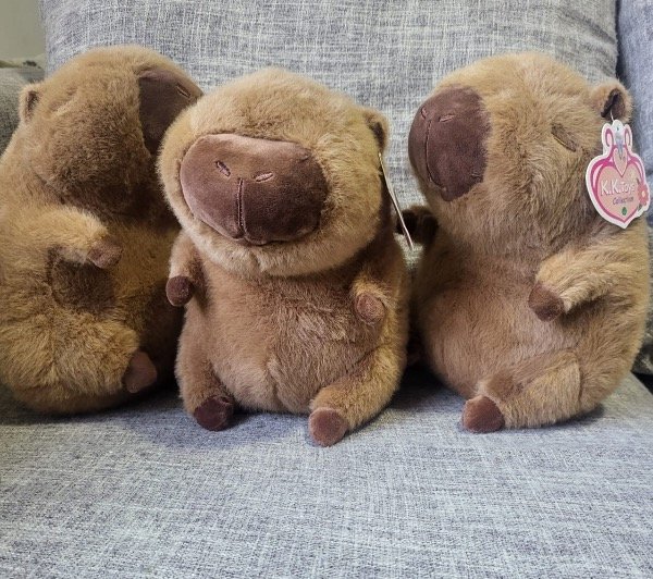 Producto - Peluche capibara 20 cm