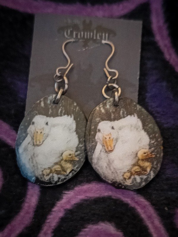 Producto - Aros con ilustración Eclosión
