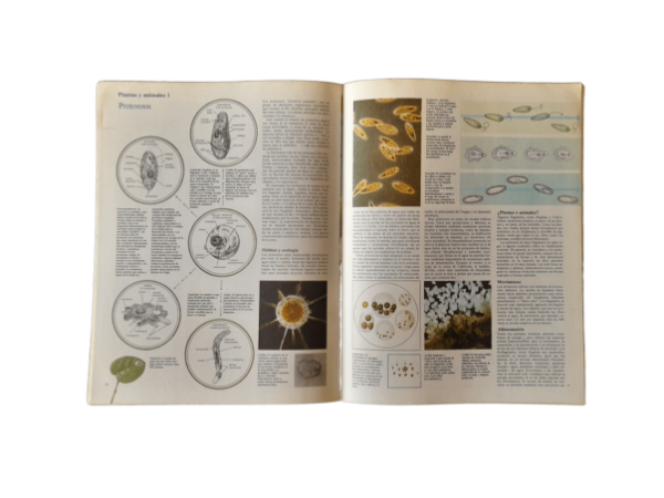 Miniatura de producto - 4