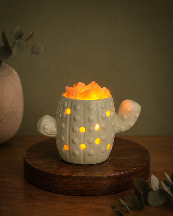Producto - Lampara fuente de Sal - Cactus