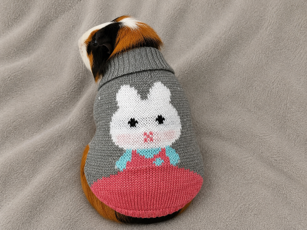 Producto - Ponchito tejido coneja