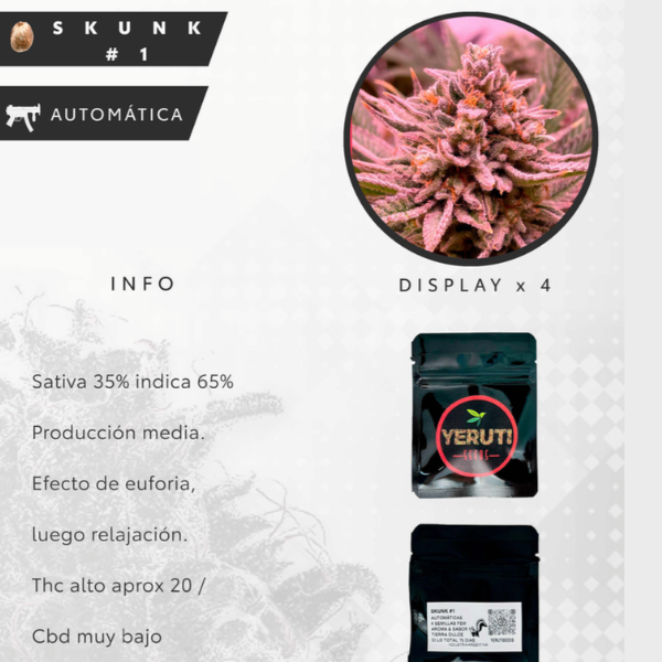 Producto - SEMILLA YERUTI SKUNK #1