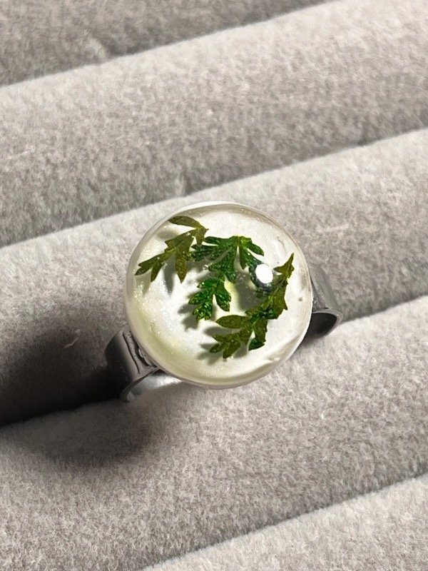 Producto - Anillo 7 - 0