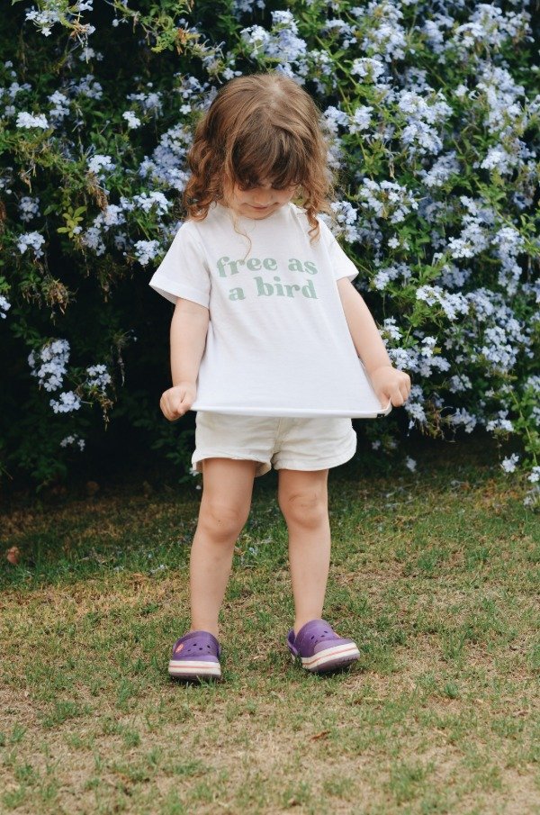 Producto - Free as a bird