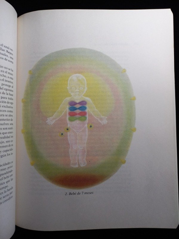 Producto - El Aura - Dora Van Gelder Kunz - 4