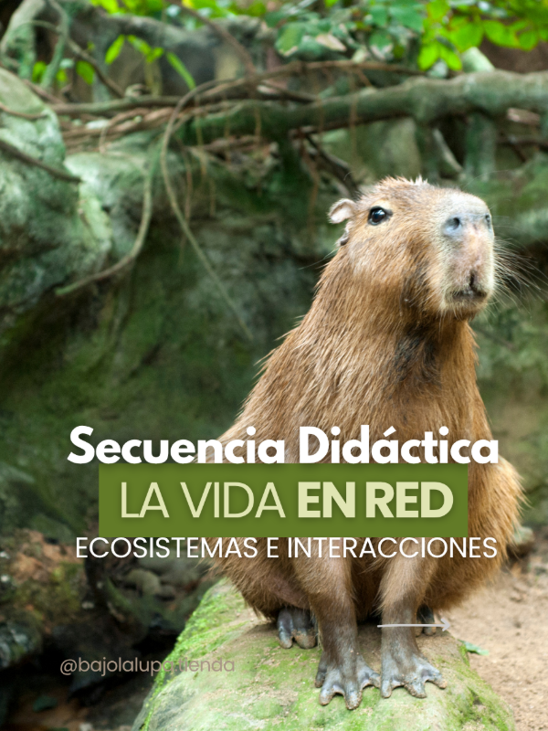 Producto - Secuencia didáctica La vida en red