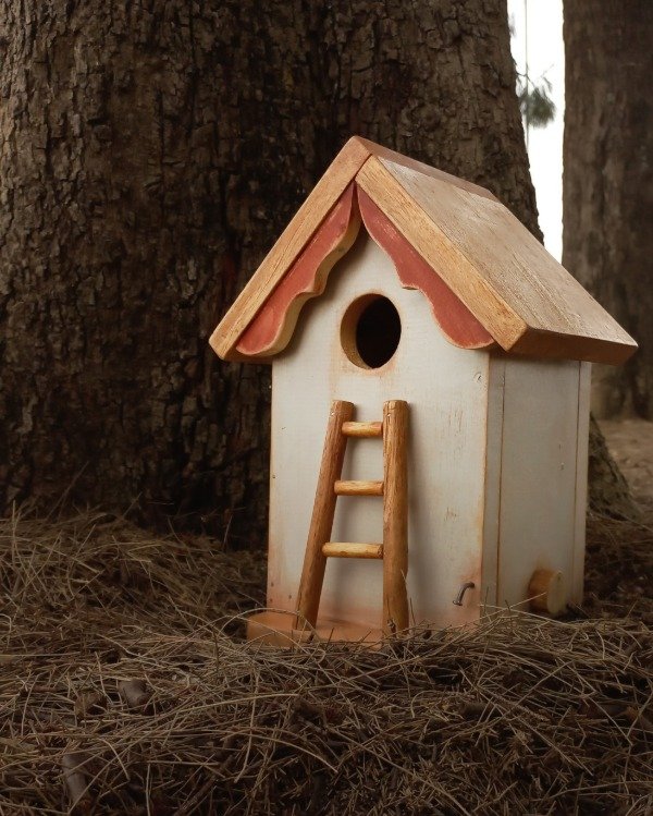 Producto - Casa para pájaros "del bosque de pinos"