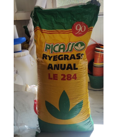 Producto - Semilla césped Ray grass anual - ryegrass