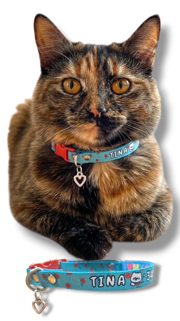 Producto - Collar Personalizado gatos - 1
